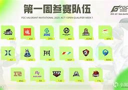 kaiyun官方入口登录-包含《Valorant》国际邀请赛与《CS:GO》Major的战术风格比较的词条