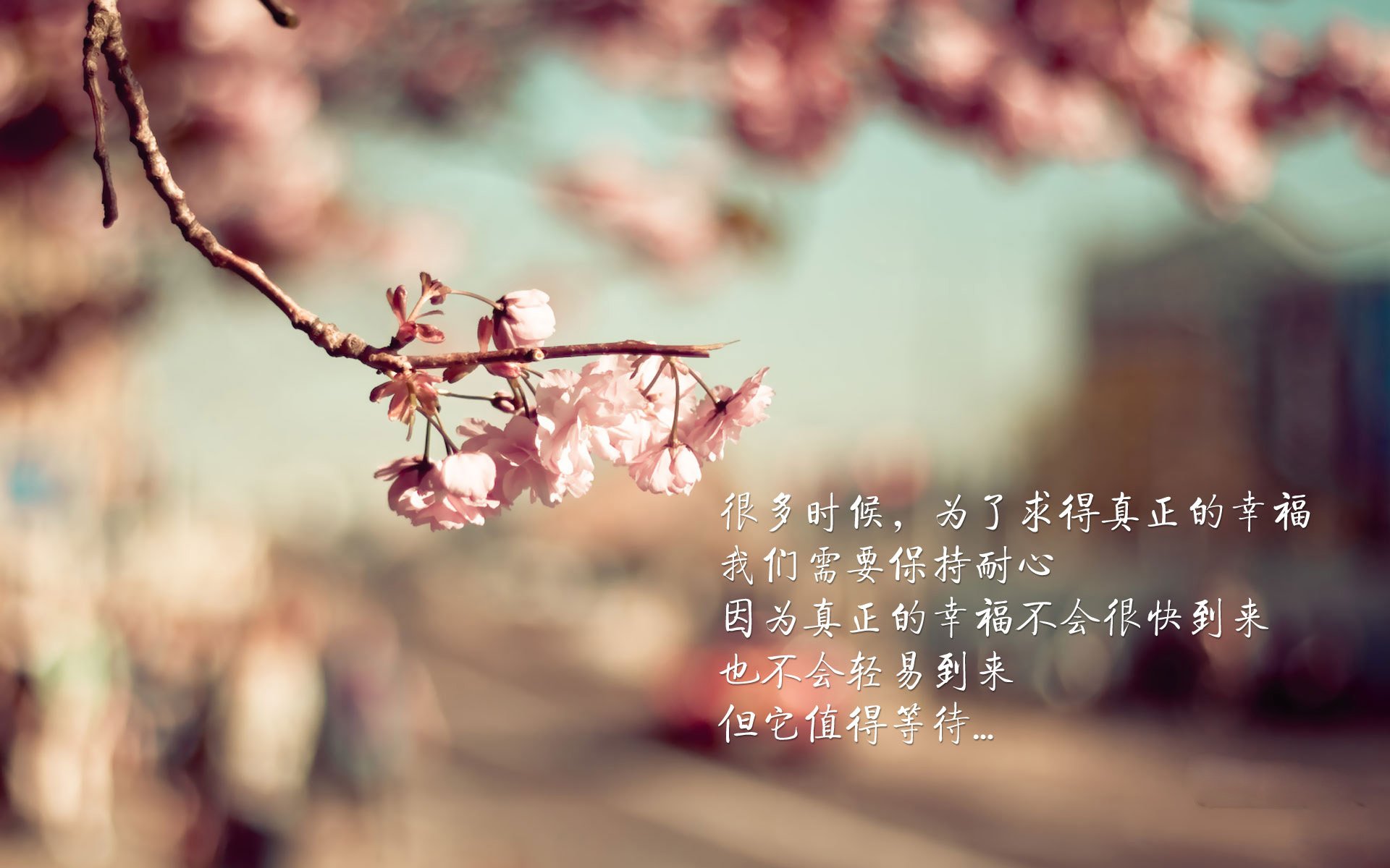 开云平台-_骑士核心发挥稳定，季后赛希望不断增长_，骑士队员2021