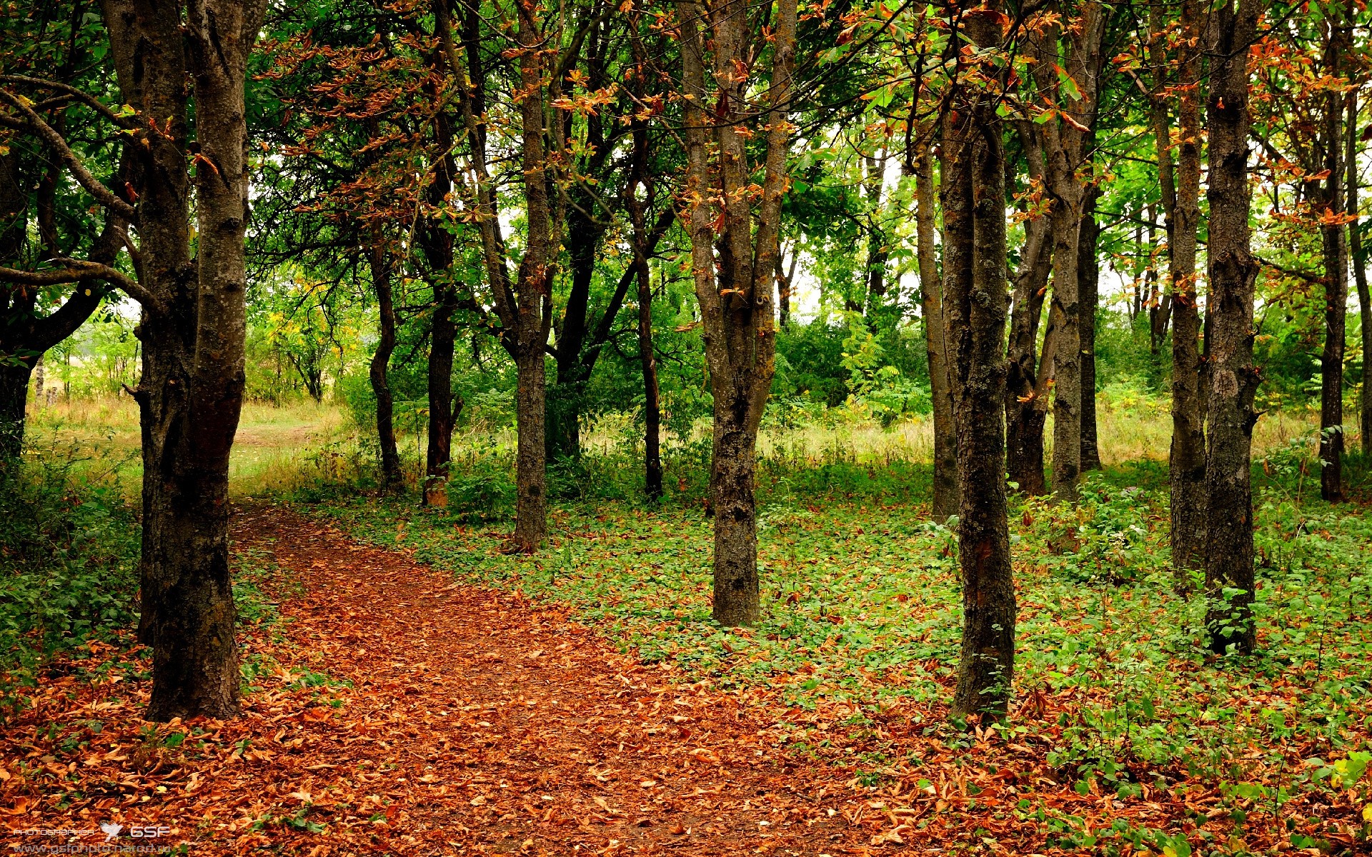 史上最“火爆”的快攻瞬间，速度与激情的完美结合，快攻的三种形式