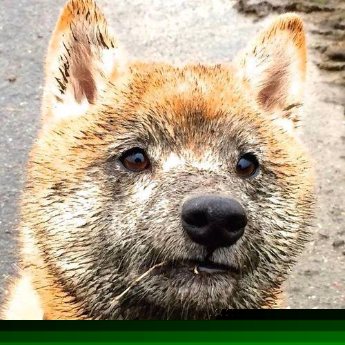 开云体育在线赛事直播-智能1V1训练系统正式应用于青训营，个性化培训模式开启，智能训练计划