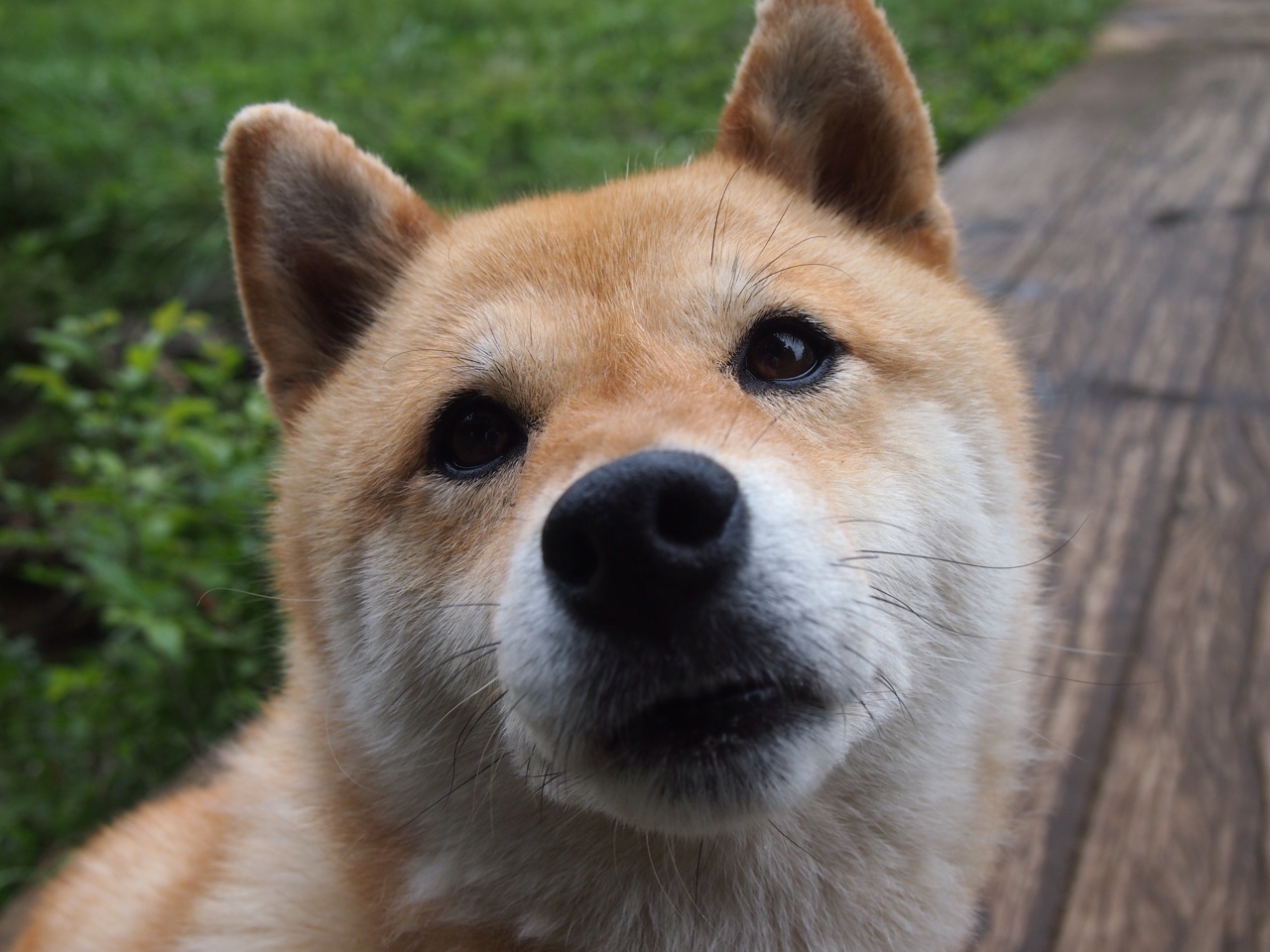 都市极限溜索:高空极速体验