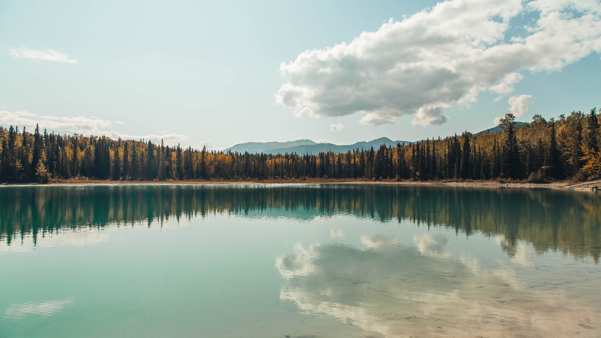 乌拉圭中锋梅开二度,带领球队取胜,乌拉圭队前锋