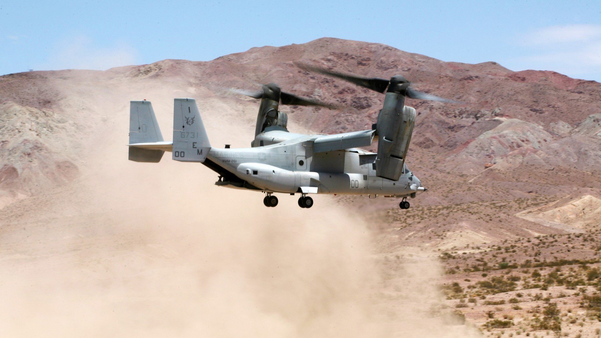 凯尔特人队防守稳固 连胜势头不可阻挡,凯尔特人队阵容中文网