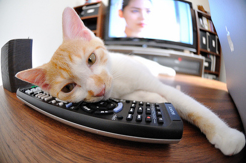 国际足球赛事中,某支球队实力惊艳,击败强敌,国际足球踢球比赛