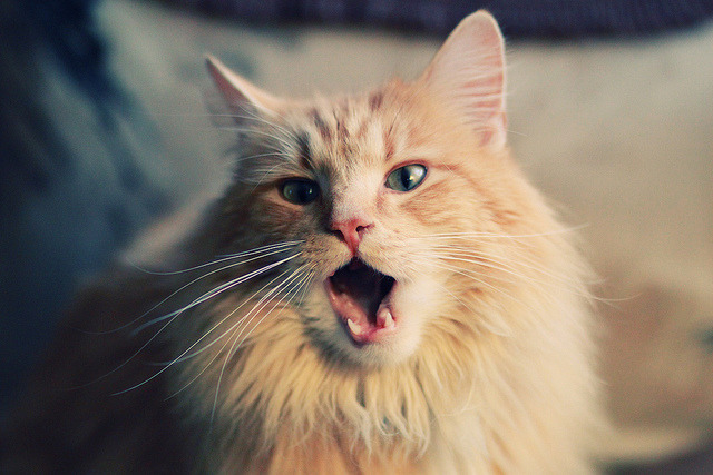 kaiyun体育综合-国际足球赛场风云再起：球场传奇，国际足球比赛视频