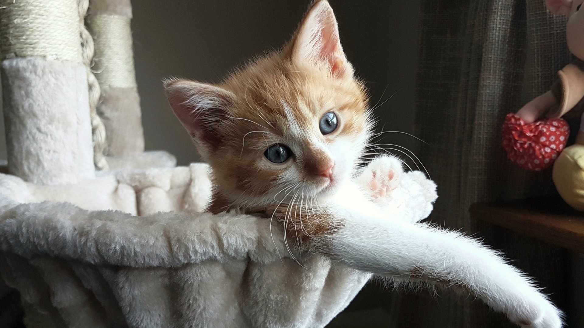 开云·体育全站登录地址-奥萨苏纳主场大捷，轻取对手夺得胜利，奥萨苏纳首发