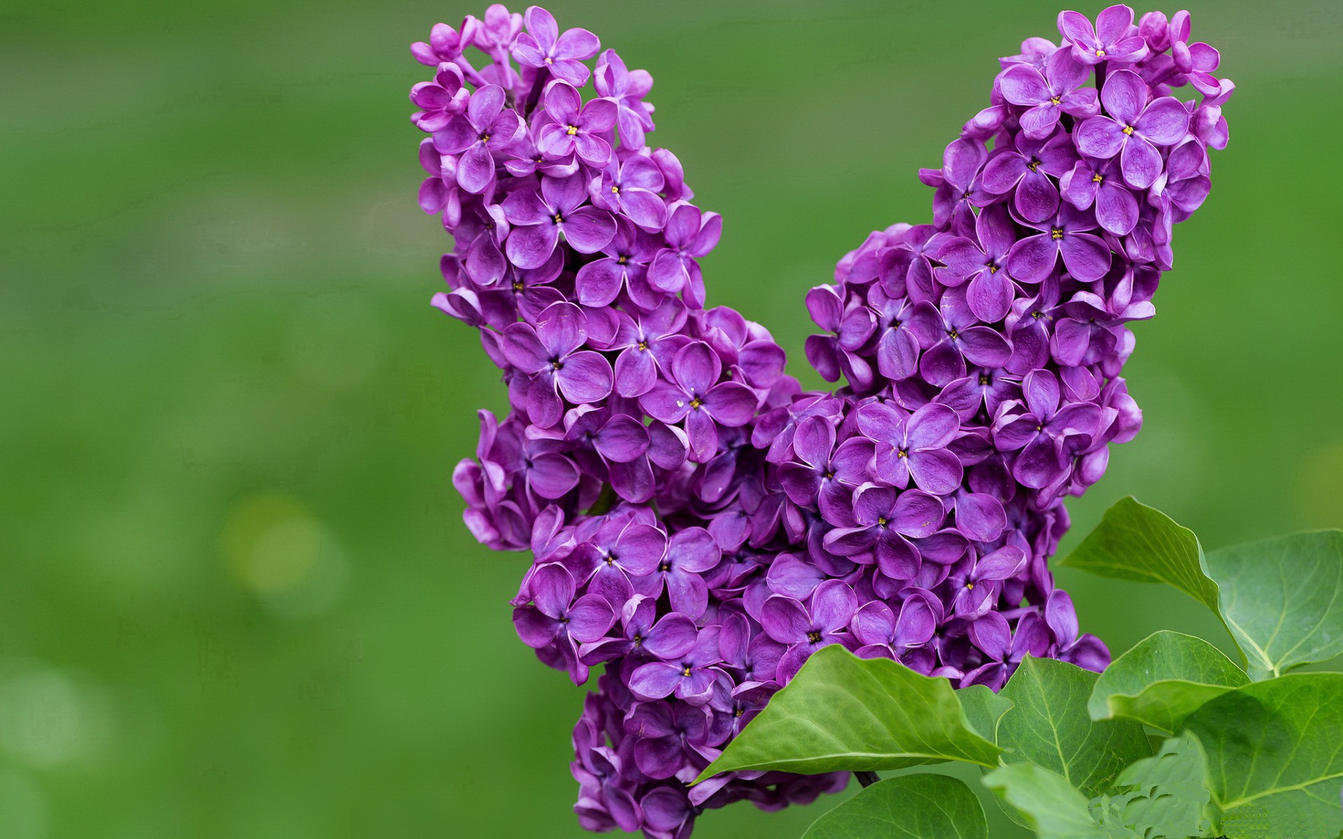 控球战术是否适合中下游球队应对强敌,控球属于什么位置