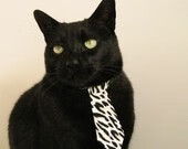 最新游泳选手体能对比报告,游泳冠军体能不达标