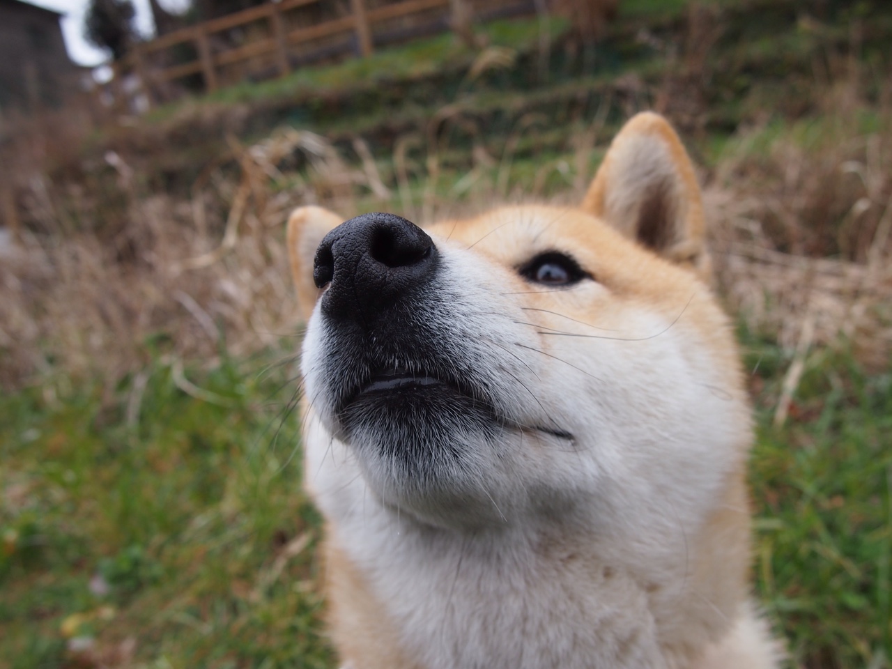 老牌劲旅新援频繁能否实现战术体系快速融合,劲旅网官网